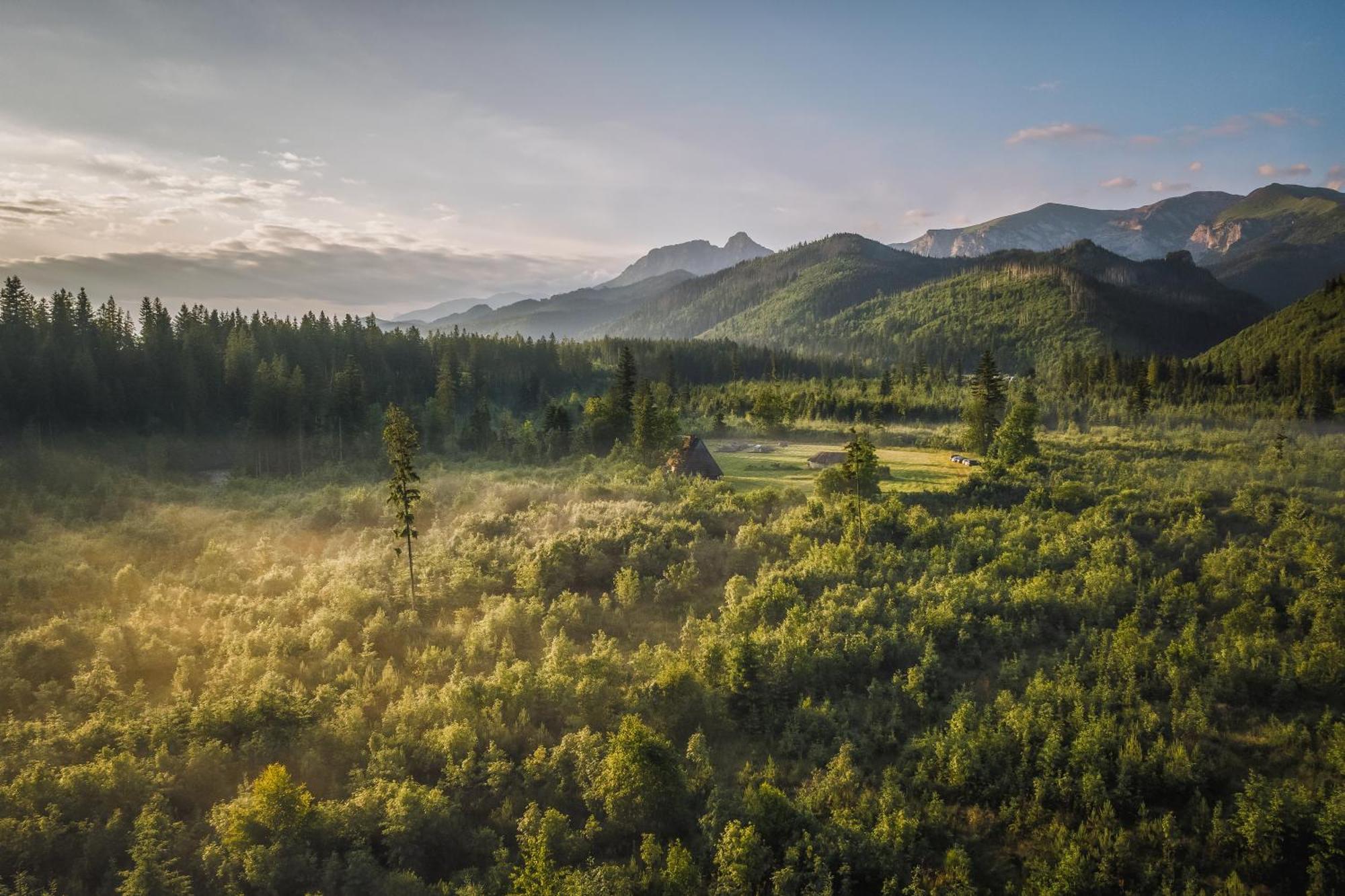 Apartamenty Krokus Przy Polanie Bialy Potok Witów Buitenkant foto