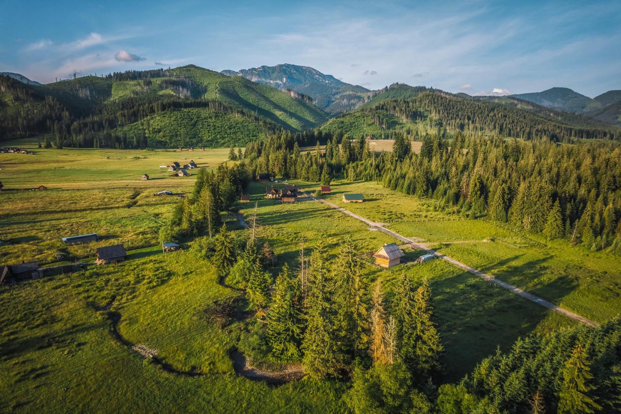 Apartamenty Krokus Przy Polanie Bialy Potok Witów Buitenkant foto